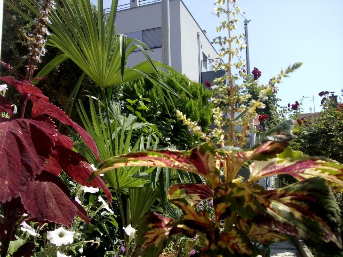 Apartment Teuta